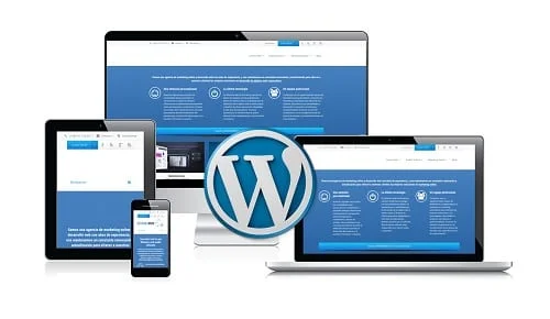 Dise&ntilde;o y Desarrollo Web WordPress Profesional