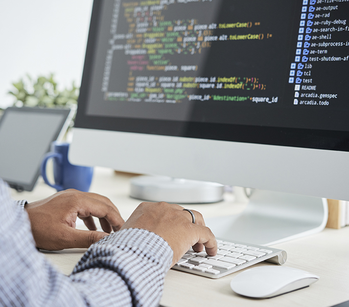 Diseño web Profesional